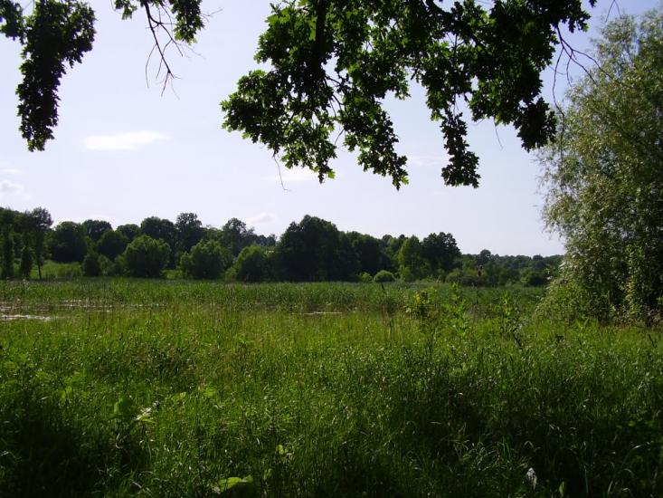 Іванківці з panoramio.com - Ivankivtsi