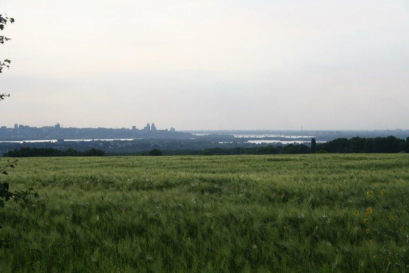 Придніпрянське з panoramio.com - Приднепрянское