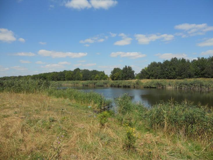 Шевченківка з panoramio.com - Шевченківка