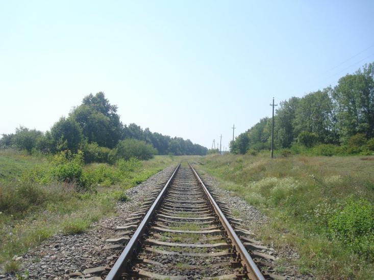 Тарасівка з panoramio.com - Тарасовка