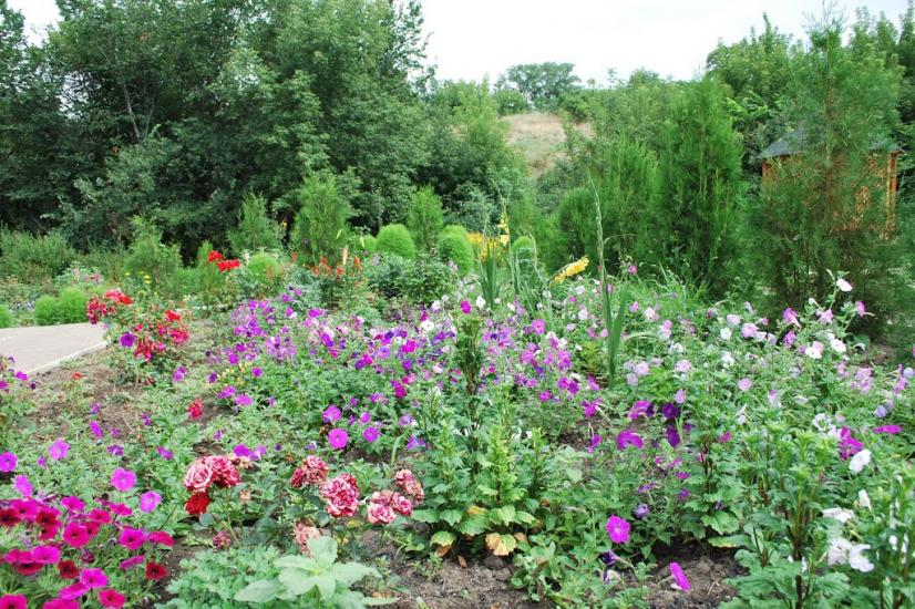 Сніжне з panoramio.com - Snizhne