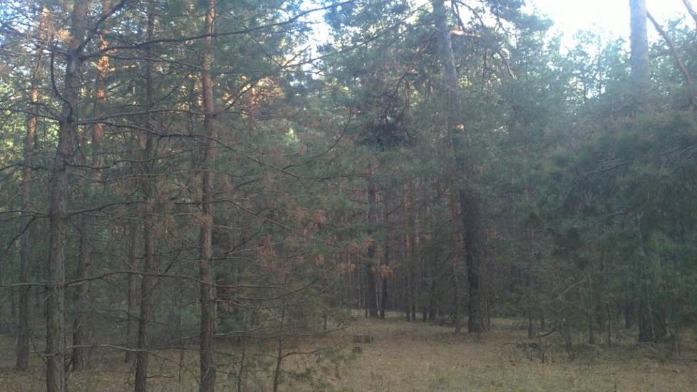 Коропове з panoramio.com - Коропово