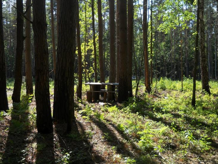 Струмок з panoramio.com - Струмок
