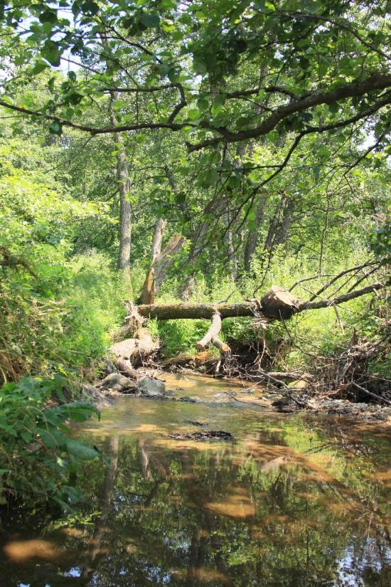 Верхобуж з panoramio.com - Верхобуж