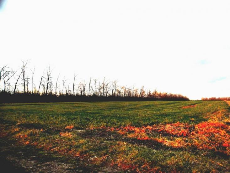 Ванчиківці з panoramio.com - Ванчиковцы