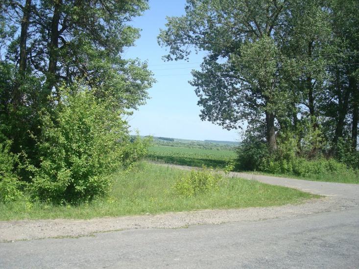 Малашівці з panoramio.com - Malashivtsi
