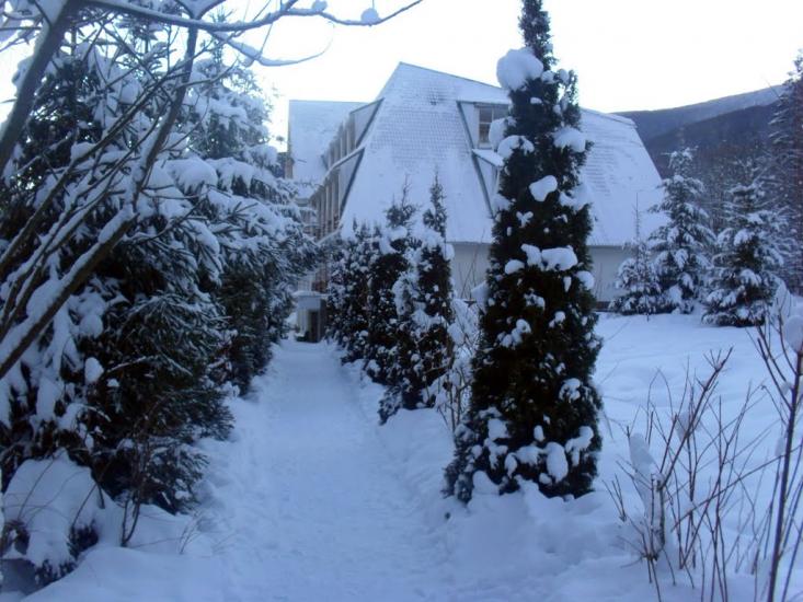Синяк з panoramio.com - Синяк