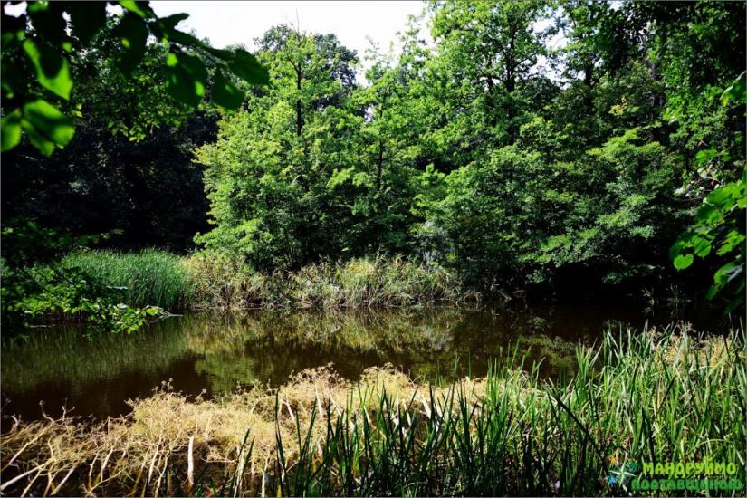 Хомутець з panoramio.com - Хомутець