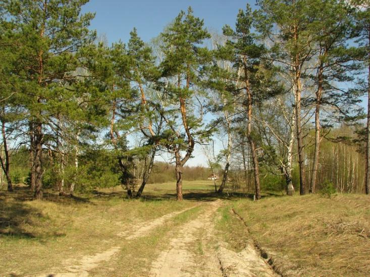 Кованьківка з panoramio.com - Кованьківка