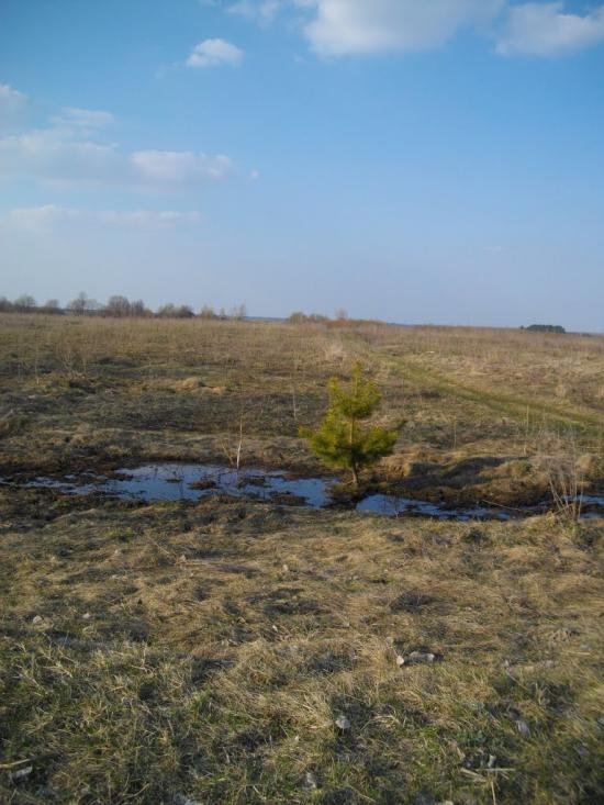Озеро з panoramio.com - Озеро