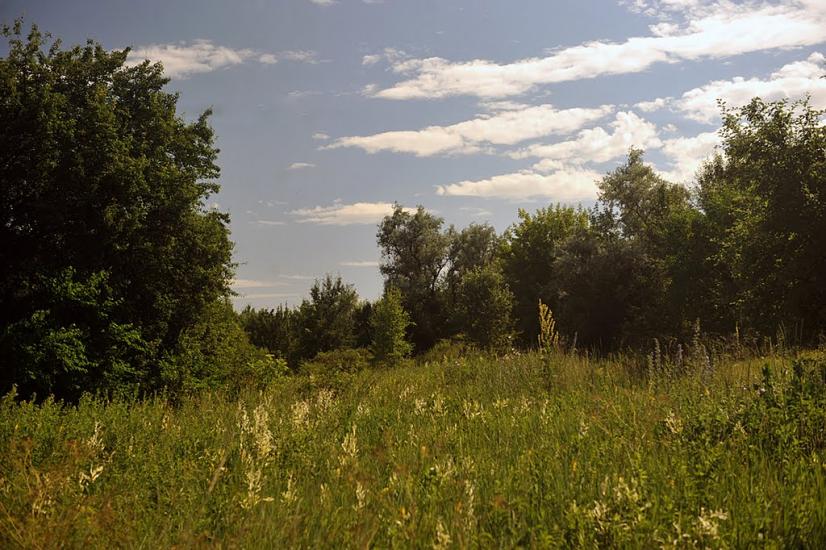 Олександро-Калинове з panoramio.com - Oleksandro-Kalynove