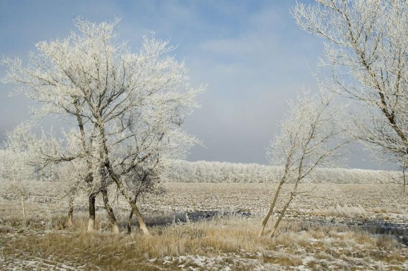 Кам'яна Яруга з panoramio.com - Кам'яна Яруга