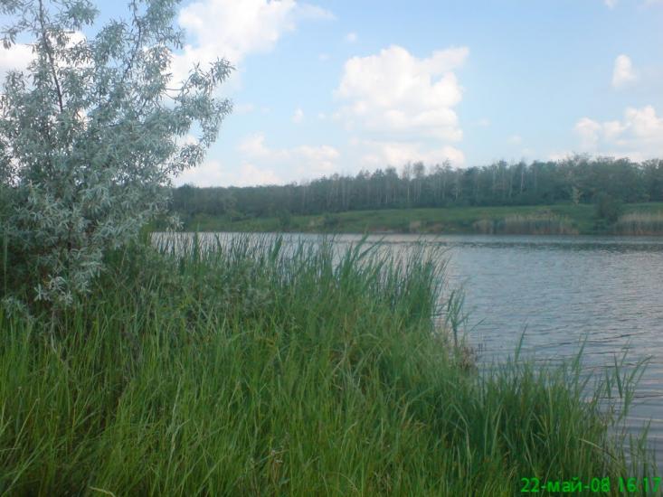 Нижньокринське з panoramio.com - Нижньокринське