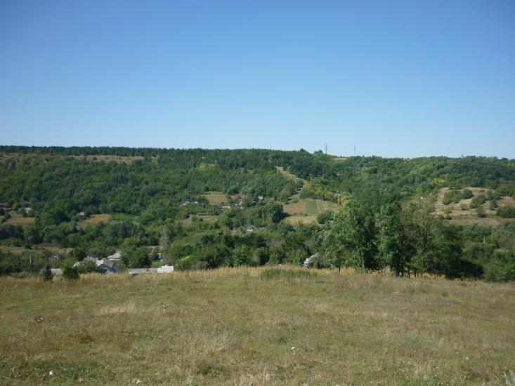 Карпівка з panoramio.com - Карпівка