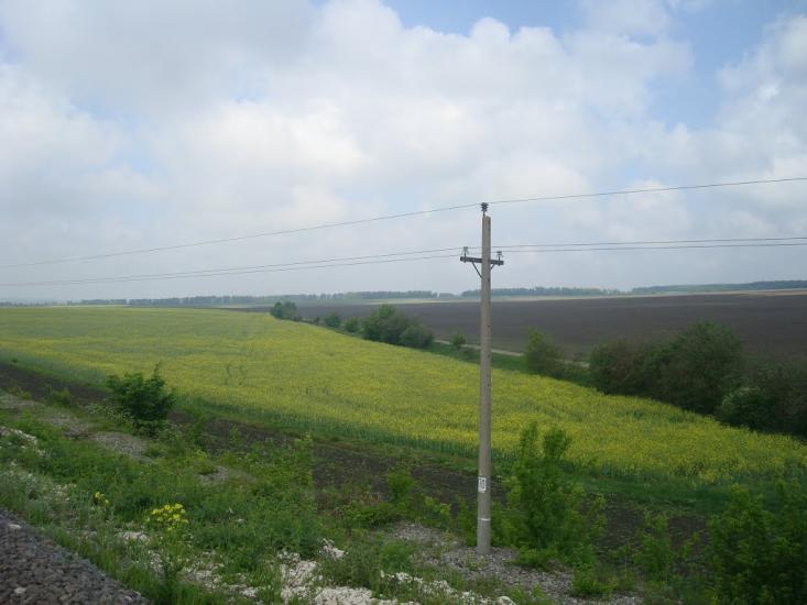 Нестерівці з panoramio.com - Нестеровцы