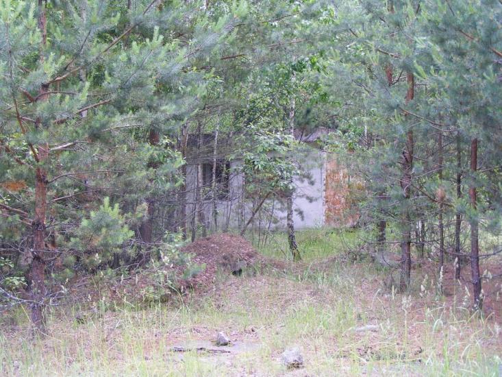 Липники з panoramio.com - Липники