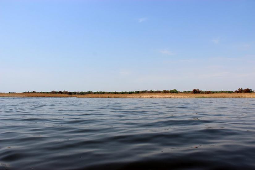 Лисогірка з panoramio.com - Лисогірка