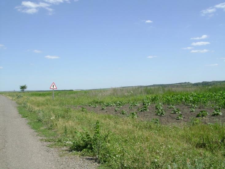 Брагинці з panoramio.com - Брагинці