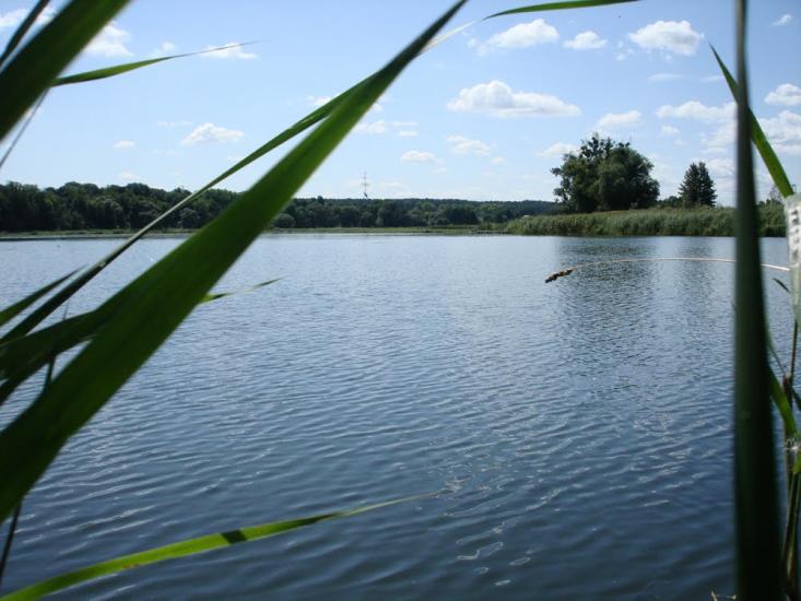 Пришивальня з panoramio.com - Пришивальня