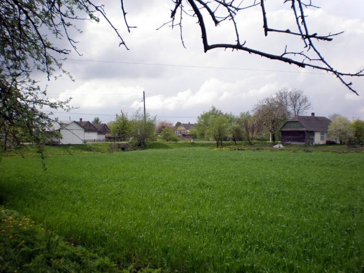 Облапи з panoramio.com - Oblapy