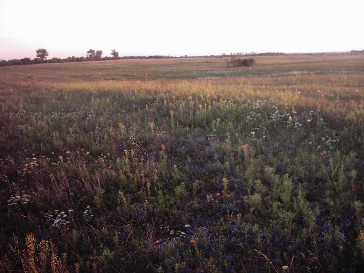 Любомль з panoramio.com - Любомль