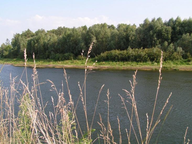 Нові Млини з panoramio.com - Новые Млины