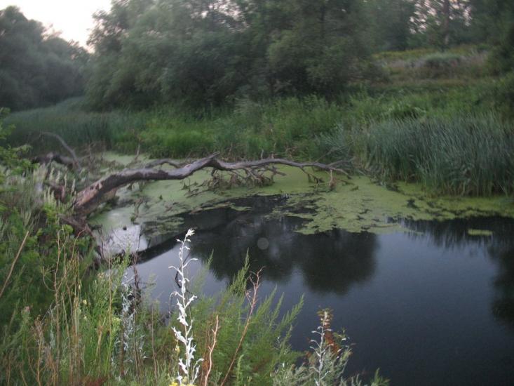Синичине з panoramio.com - Synychyne