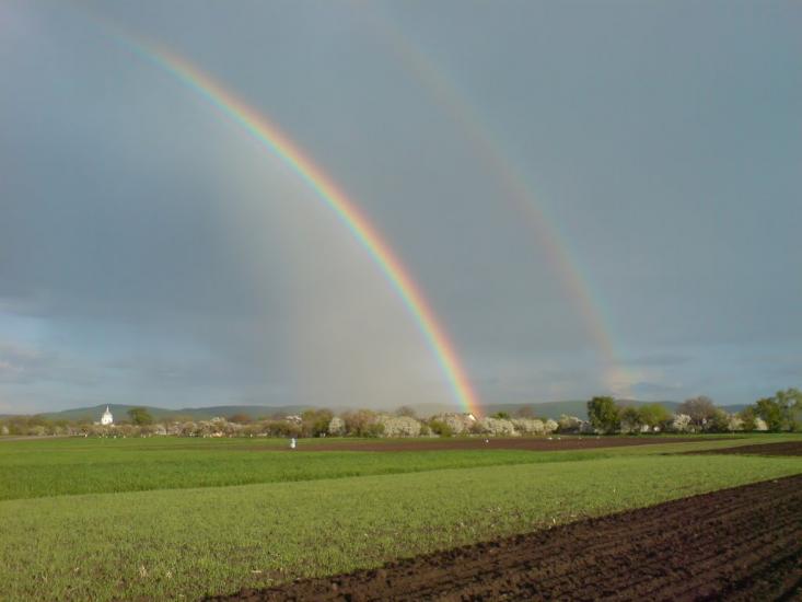 Кривичі з panoramio.com - Кривичі