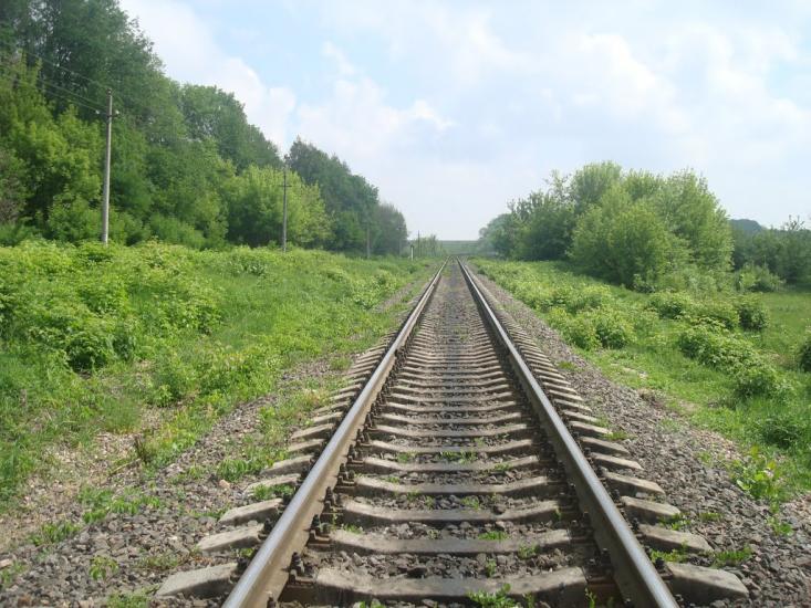 Нестерівці з panoramio.com - Нестерівці