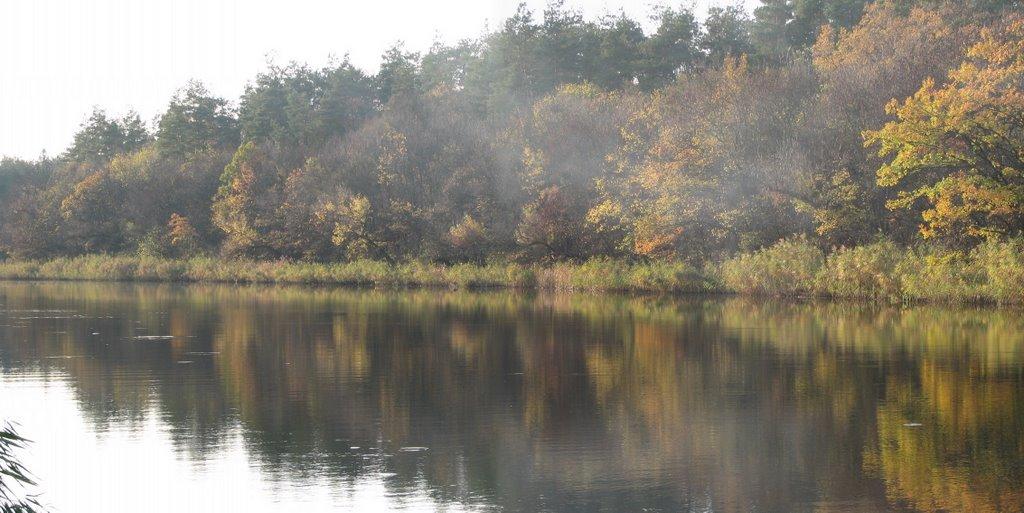 Черкаське з panoramio.com - Черкаське