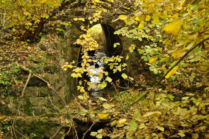 Віта-Поштова з panoramio.com - Віта-Поштова