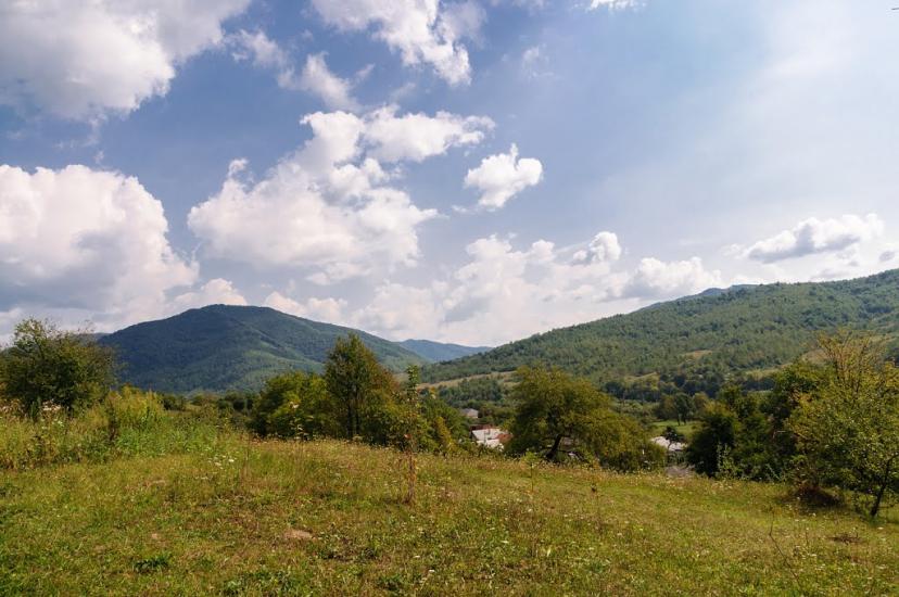 Кострина з panoramio.com - Кострина
