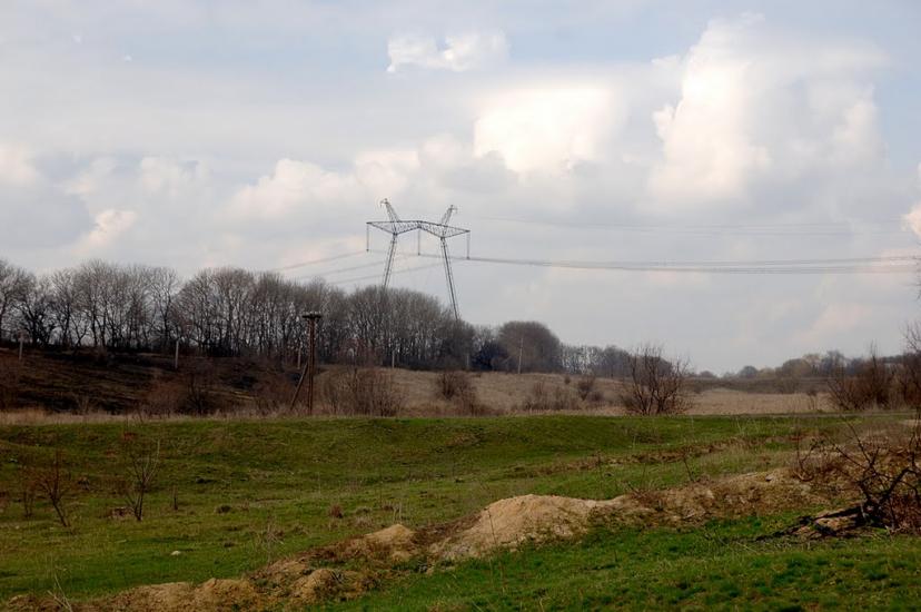 Птиче з panoramio.com - Птичье