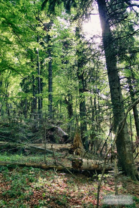 Манява з panoramio.com - Манява