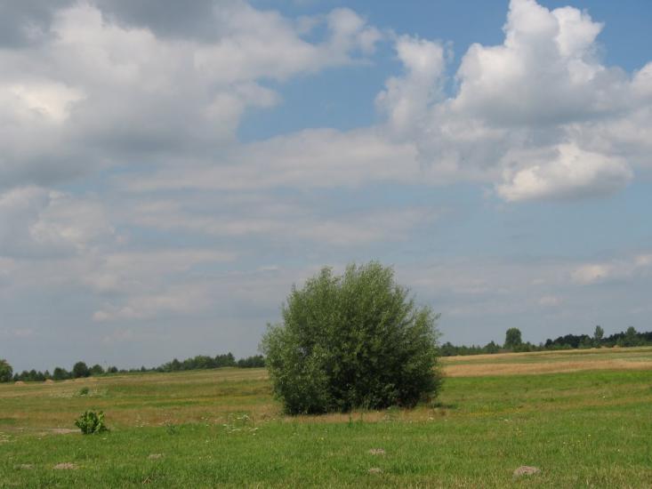 Камінь-Каширський з panoramio.com - Камінь-Каширський