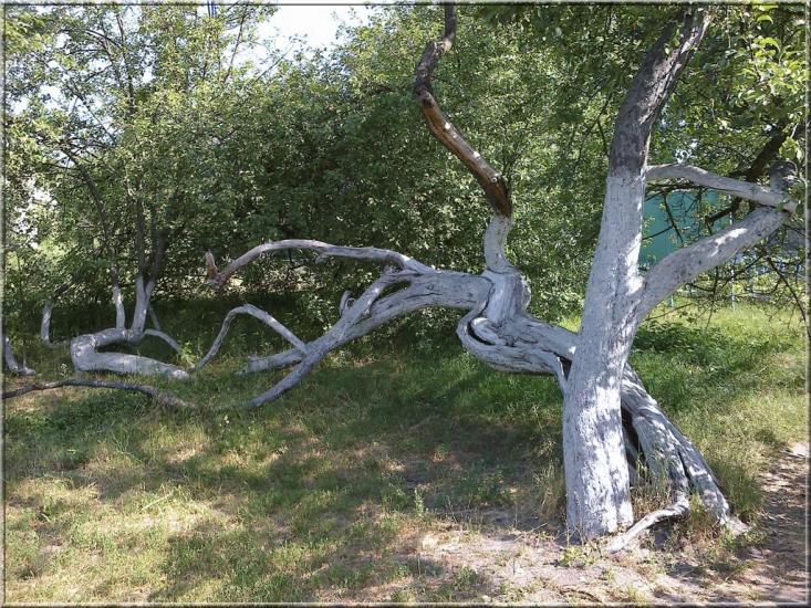 Кролевець з panoramio.com - Кролевець