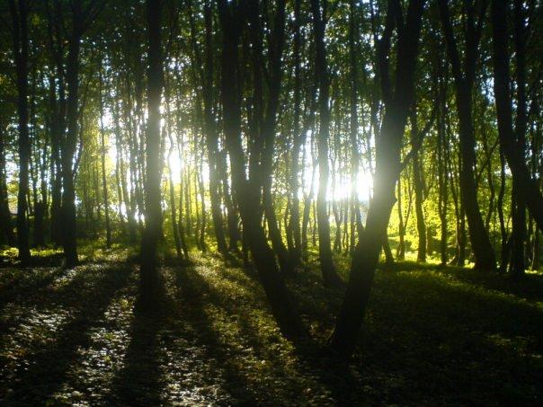 Біла з panoramio.com - Белая