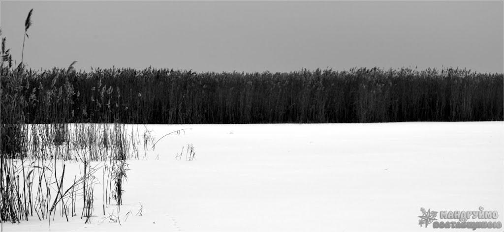 Мала Перещепина з panoramio.com - Малая Перещепина