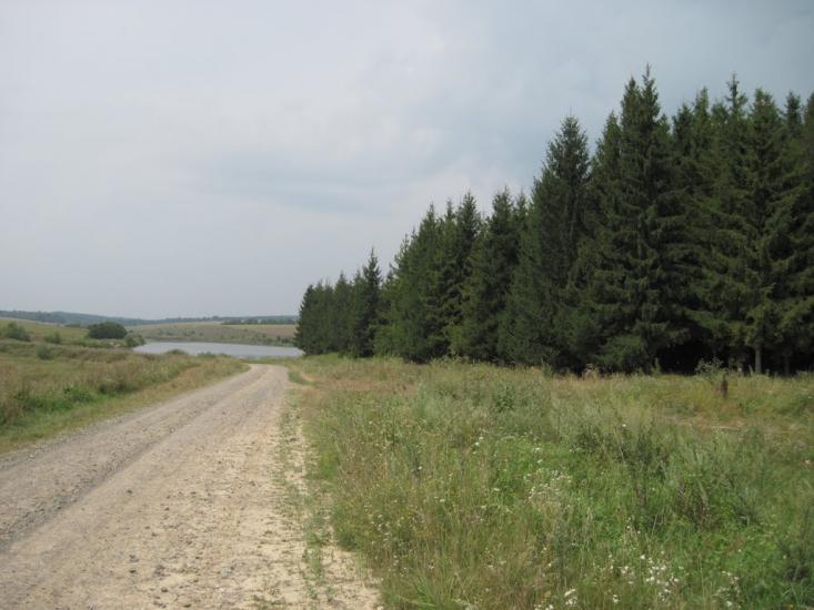 Галузинці з panoramio.com - Galuzyntsi