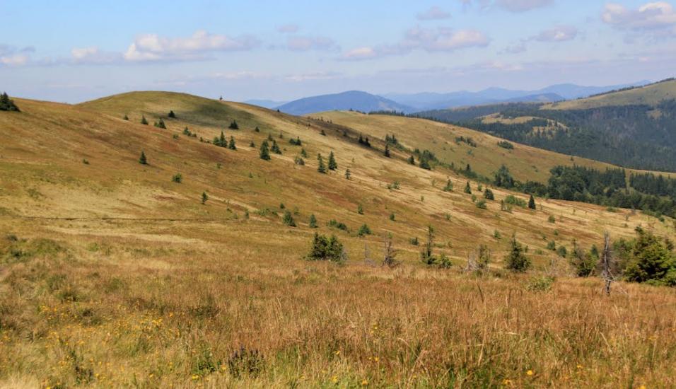 Верхня Рожанка з panoramio.com - Верхняя Рожанка