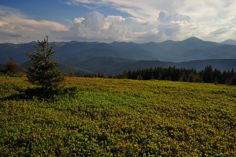 Кривопілля з panoramio.com - Кривопілля