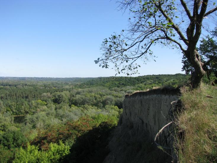 Яреськи з panoramio.com - Яреськи