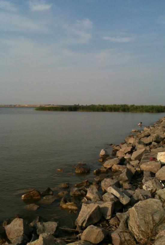 Нова Некрасівка з panoramio.com - Nova Nekrasivka