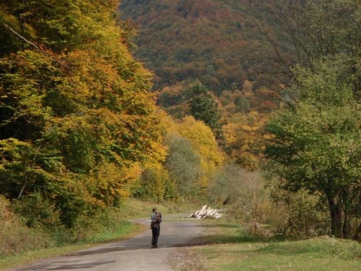 Ставне з panoramio.com - Ставне