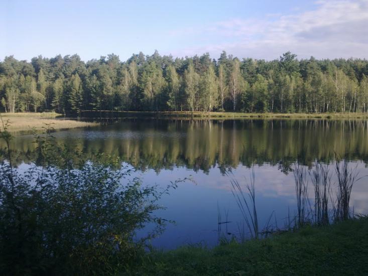 Задорожок з panoramio.com - Задорожок