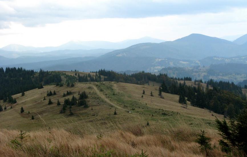 Завийка з panoramio.com - Zavyyka