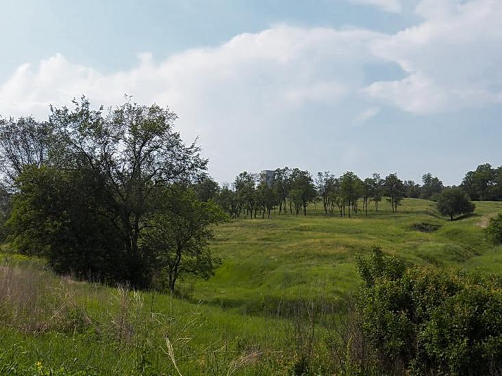 Булавинське з panoramio.com - Булавинское