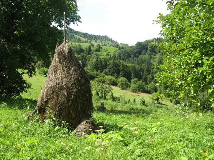Хорови з panoramio.com - Хоровы