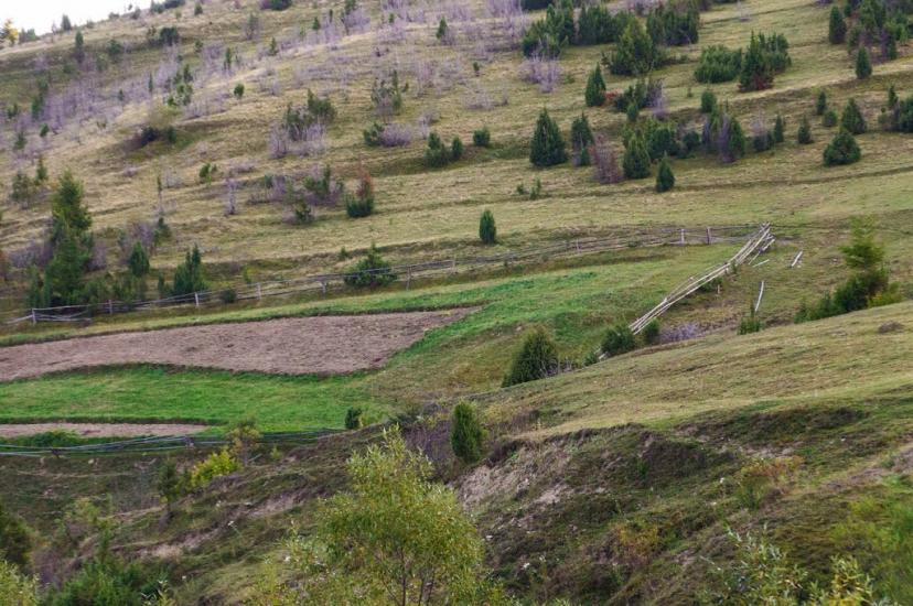 Розтока з panoramio.com - Ростока