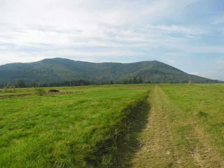 Пшеничники з panoramio.com - Пшеничники